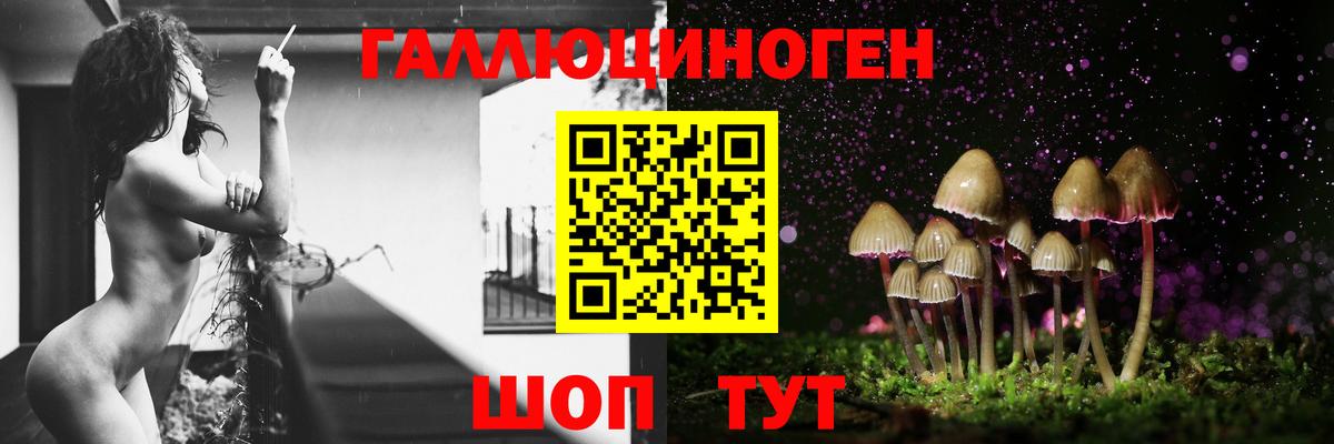Гагарин  Псилоцибиновые грибы мицелий  Псилоцибиновые грибы MAGIC MUSHROOMS  Вход с VPN 